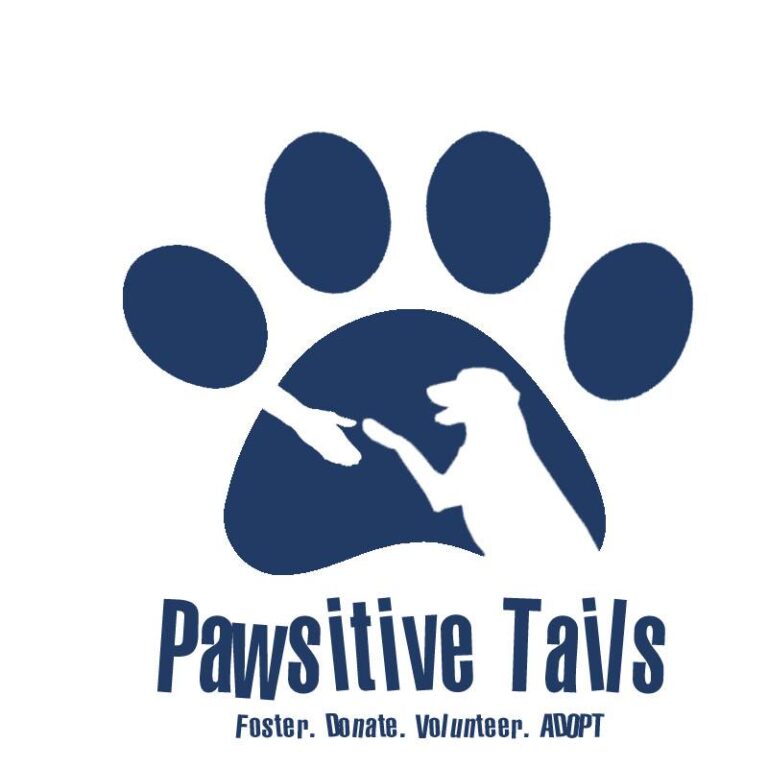 Adoption Saturday with Pawsitive Tails Dog Rescue - Bar K