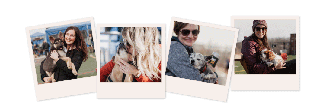 Collage of people with pups