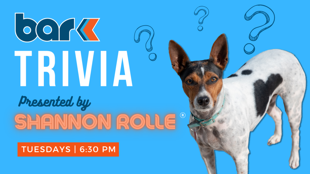Bar K Trivia presented by Shannon Rolle