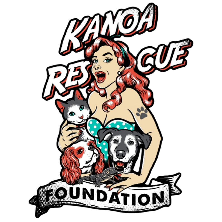 ADOPTION EVENT WITH KANOA RESCUE FOUNDATION - Bar K