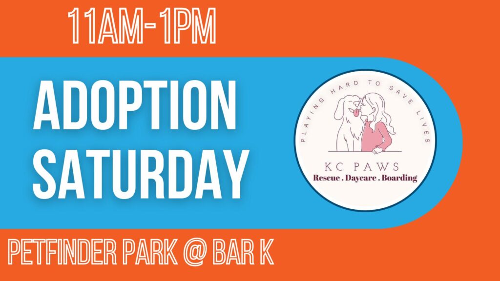 Adoption Saturday with KC PAWS