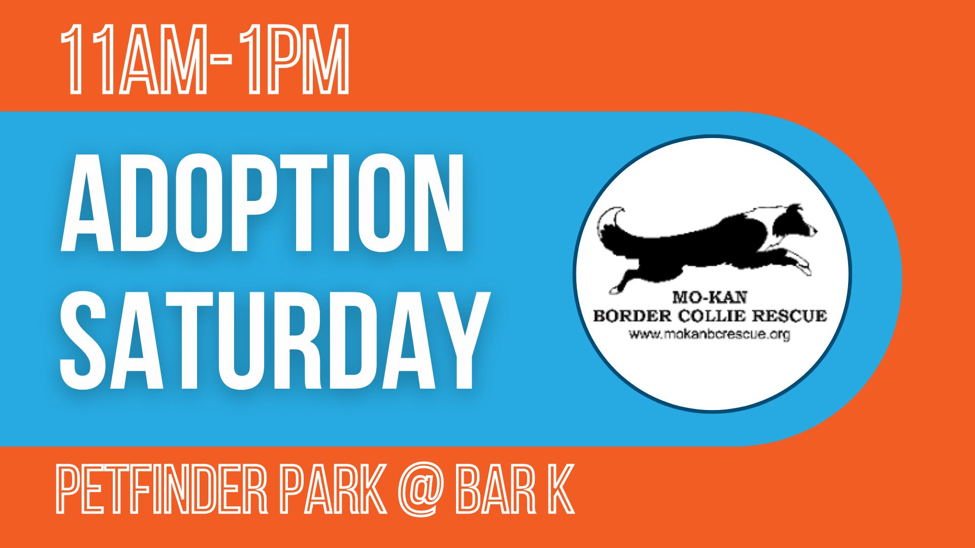 Mo-Kan Adoption Saturday 11 AM to 1 PM