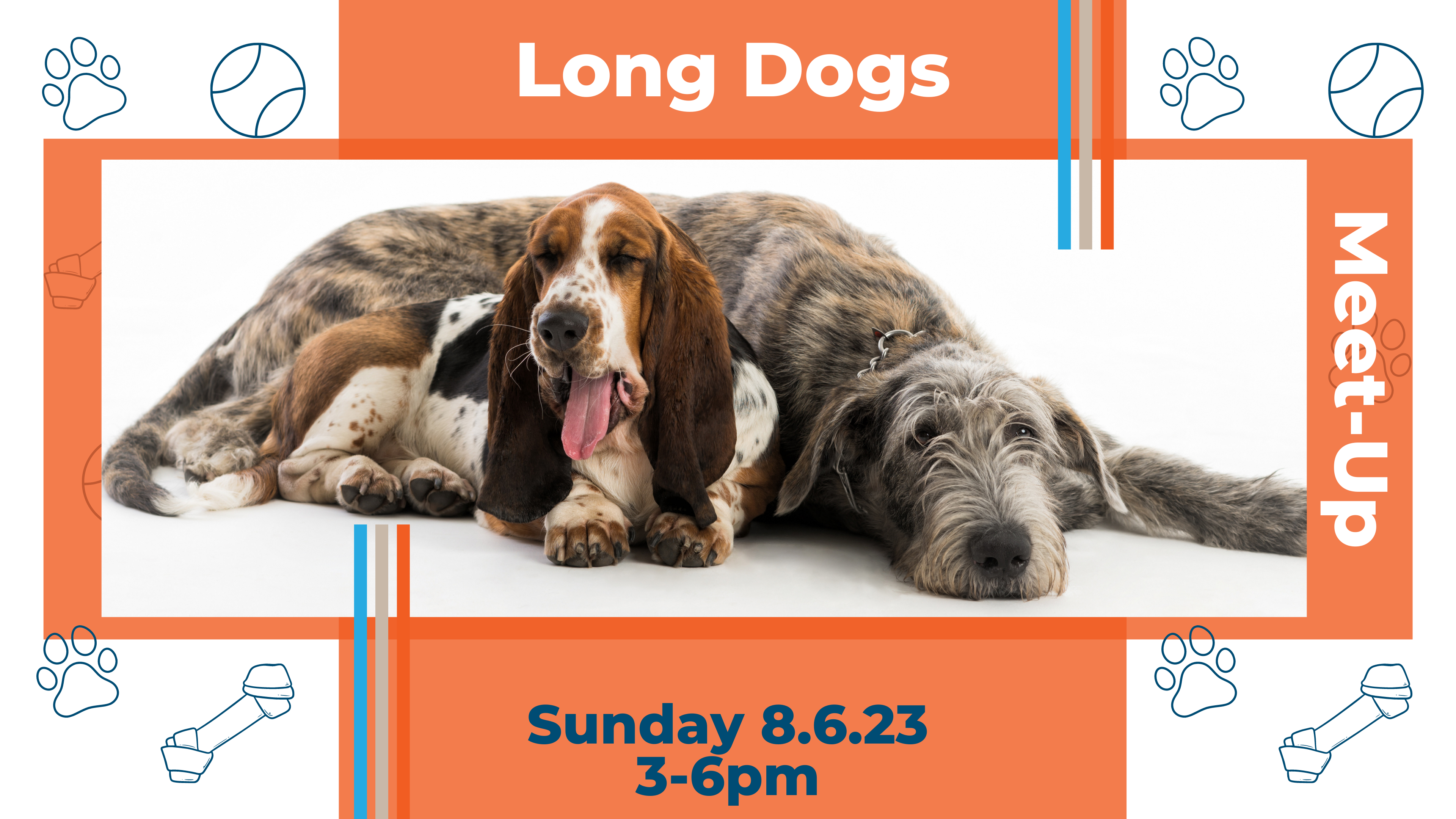 Long Dog Breed Meetup