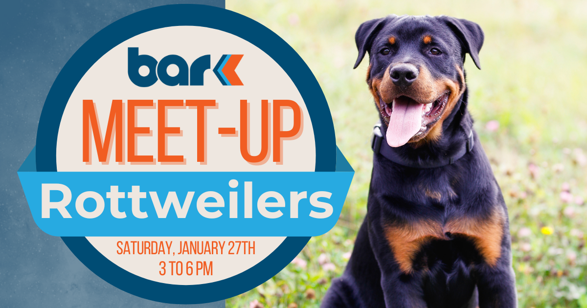Rottweilers meet up at Bar K on Sunday January 27th from 3 to 6 pm