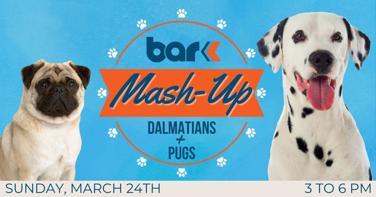 Dalmatians and pugs meet up at Bar K on Sunday March 24th from 3 to 6 pm