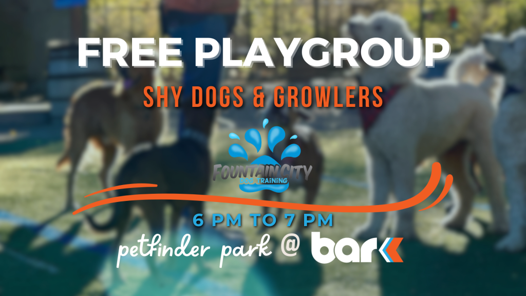 Free playgroup for shy dogs and growlers. Fountain city dog training at petfinder park. 6pm to 7 pm.