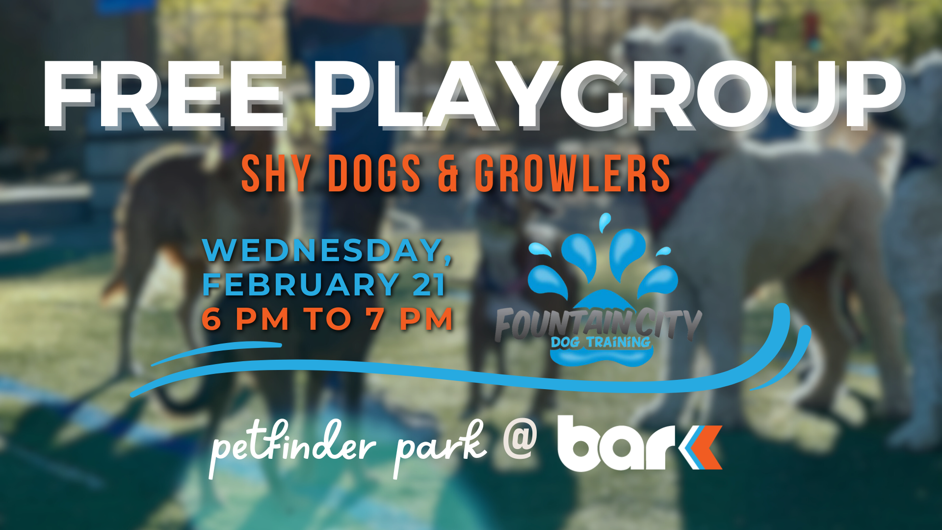 Free Play group for shy dogs and growlers. Wednesday Feb 21st from 6 to 7 pm hosted by Fountain city dog training. Petfinder park at Bar K.