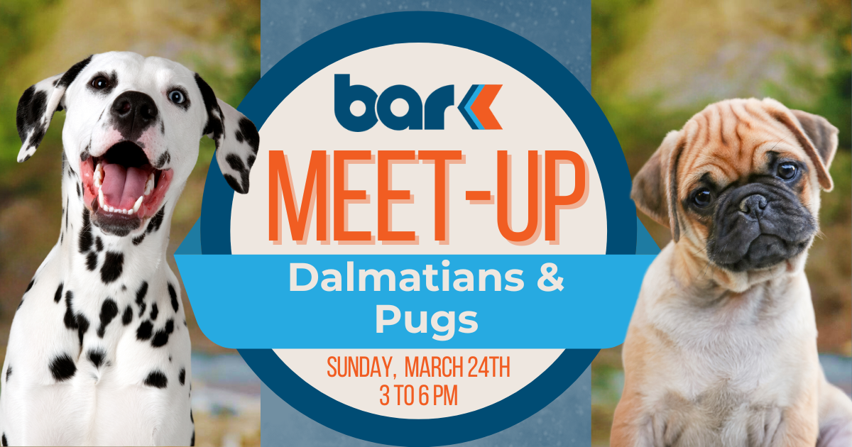 Dalmations and pugs meet-up at Bar K on Sunday, March 24th from 3 to 6 pm.