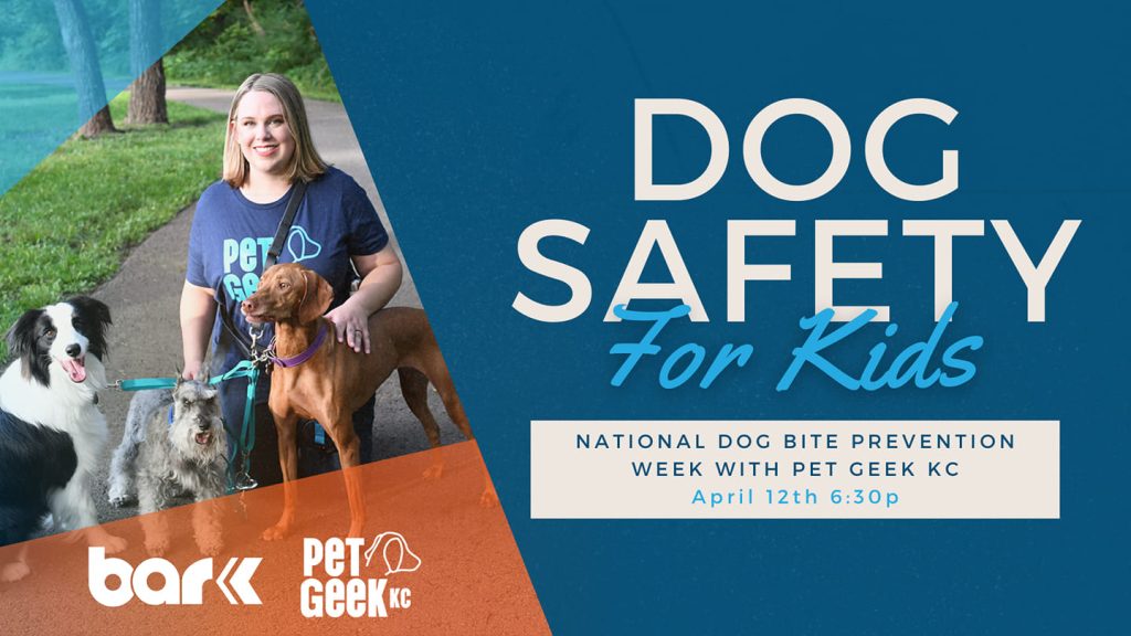 Bar K Per Geek KC. Dog Safety for kids. National dog bite prevention week with pet geek kc april 12th 6:30 PM