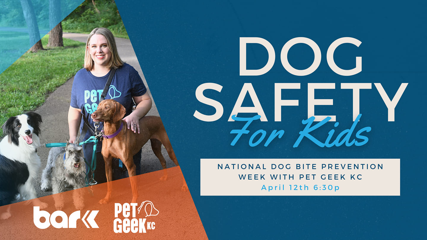 Bar K Per Geek KC. Dog Safety for kids. National dog bite prevention week with pet geek kc april 12th 6:30 PM