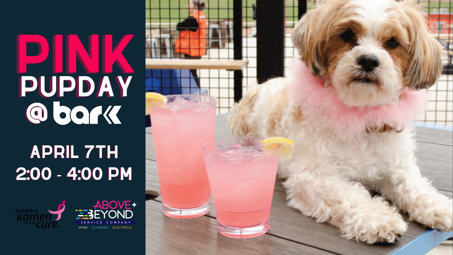 Pink Pupday at bar K. April 7th from 2 to 4 pm.