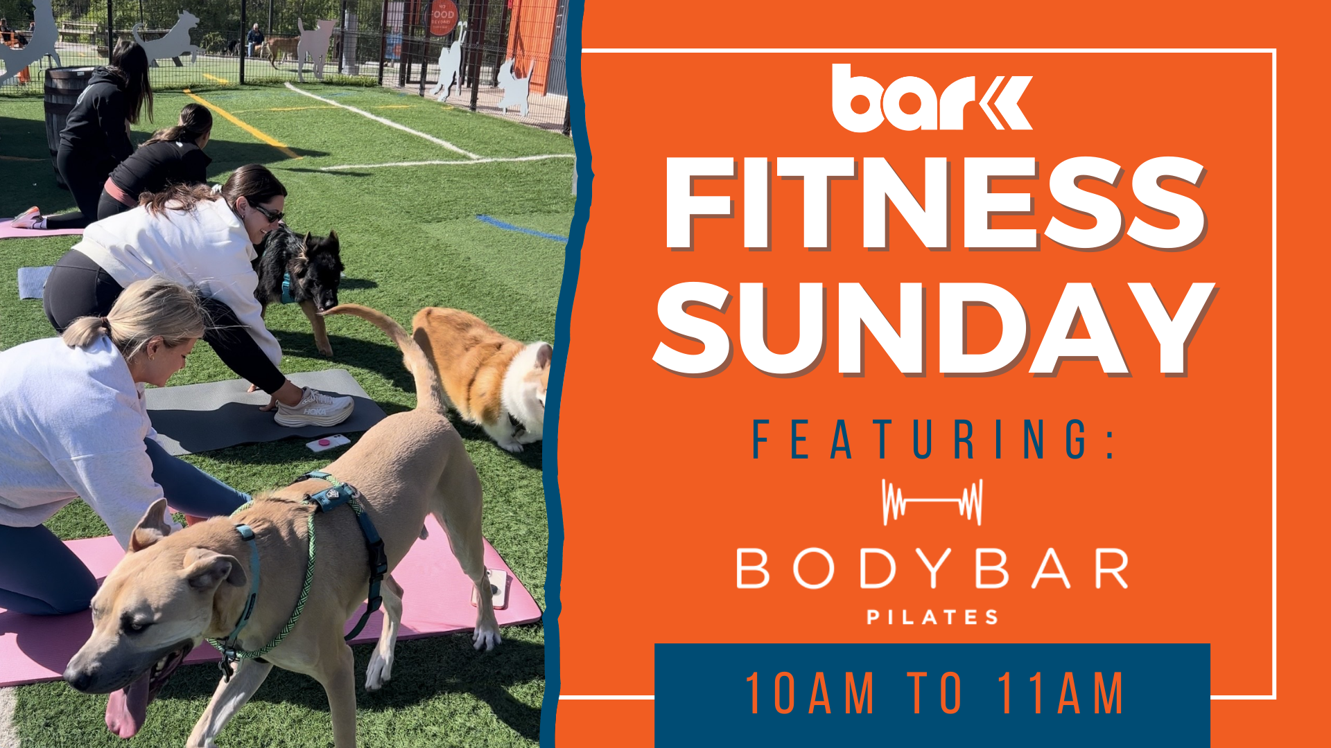 Women doing pilates surrounded by dogs. Text - Bar K Fitness Sunday Featuring Body Bar Pilates 10am to 11am.
