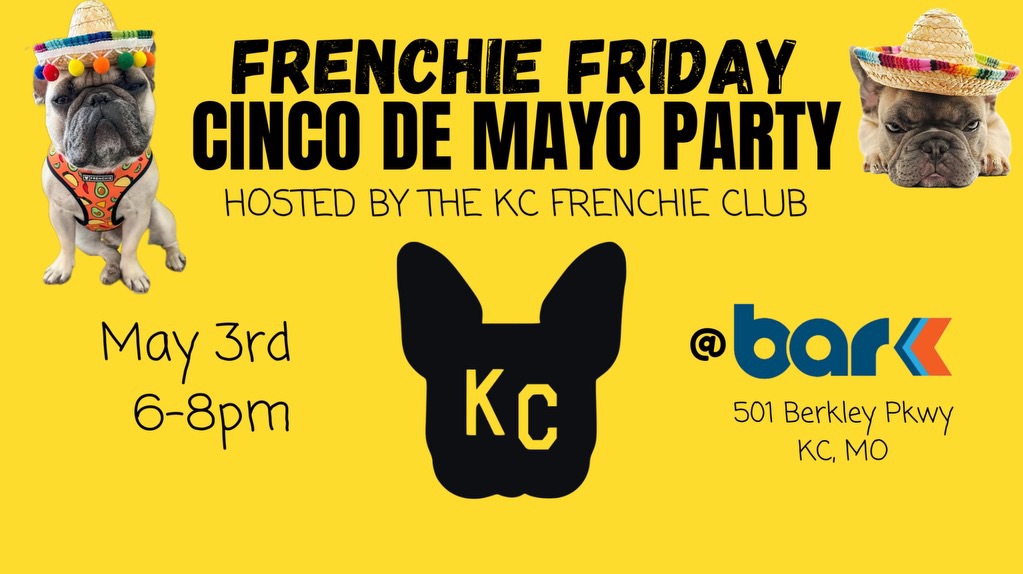 Frenchie Friday Cinco De Mayo Party Hosted by the KC Frenchie Club at Bar K 501 Berkley Parkway kc, mo. May 3rd 6 pm to 8 pm.