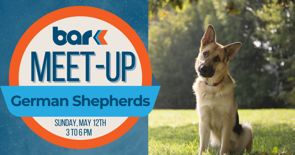 Bar K German Shepherds meet-up on Sunday, May 12th from 3 to 6 pm.