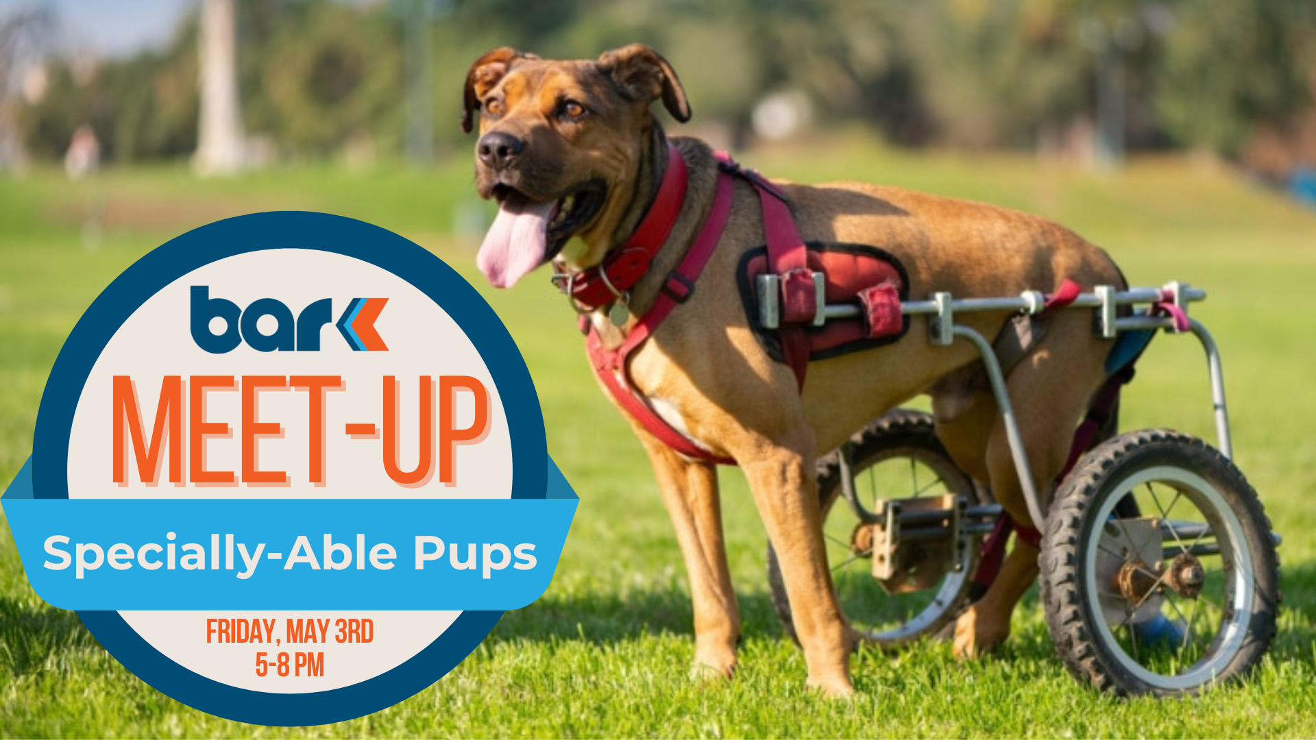 Bar K specially-able pups meet-up on Friday, May 3rd 5-8pm