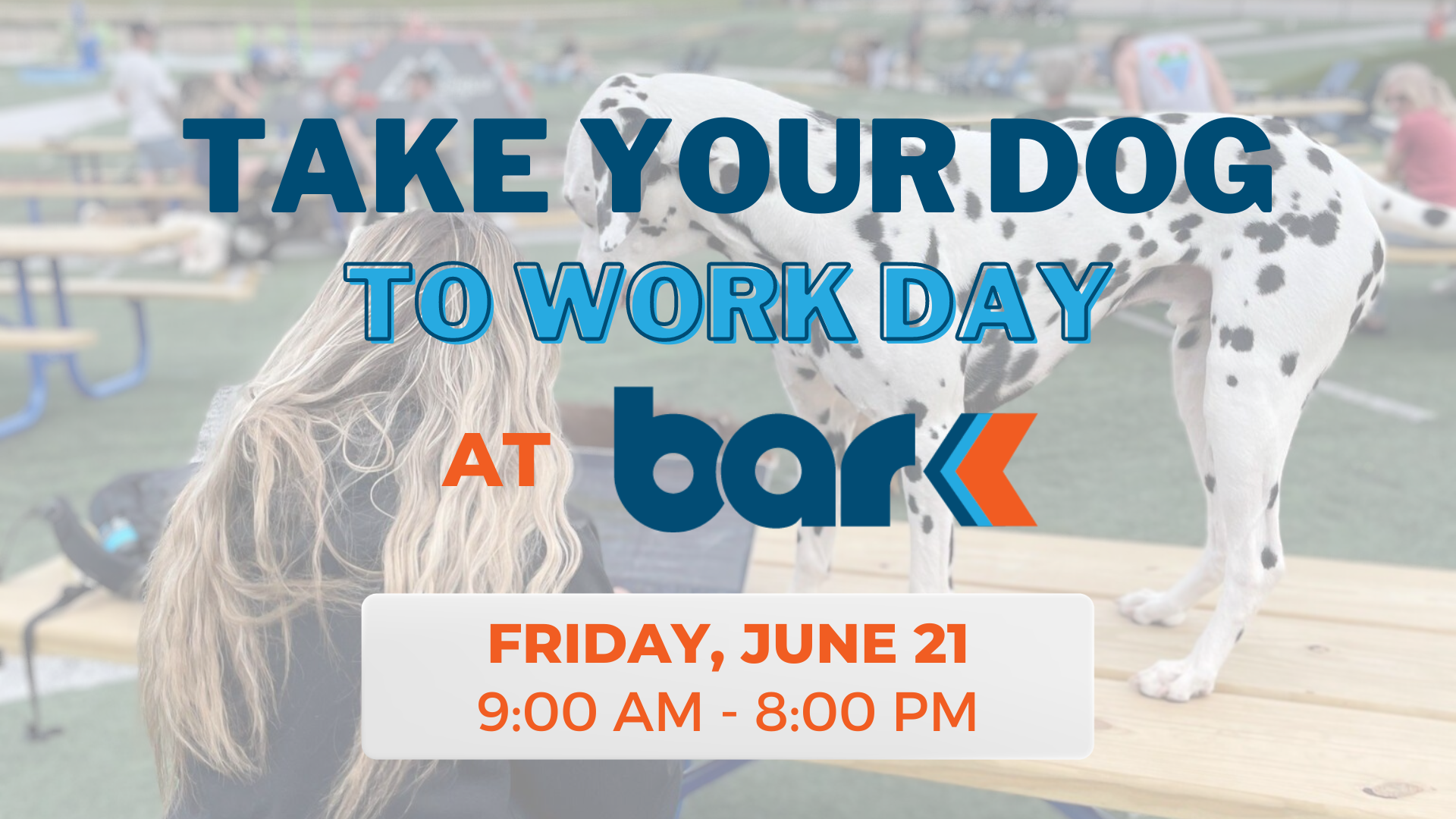 Take your dog to work day at Bar K Friday, June 21 9am to 8pm