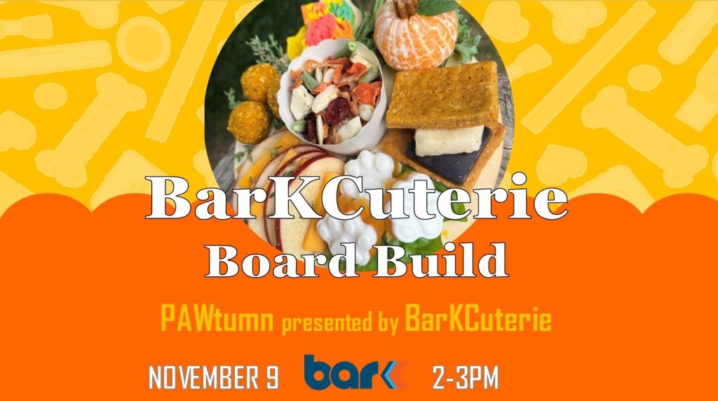 A promotional image for an event titled “BarKCuterie Board Build.” The background is a bright yellow pattern with outlines of dog bones and circles, and the foreground includes a charcuterie board filled with various pet-friendly snacks like sliced apples, dried fruits, biscuits, and a peeled orange shaped like a pumpkin. The text reads “BarKCuterie Board Build,” with the tagline “PAWtumn presented by BarKCuterie.” The event date is “November 9” and it takes place from “2-3 PM.”