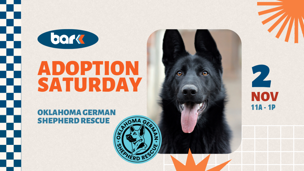 Adoption Saturday event flyer for Oklahoma German Shepherd Rescue with a photo of a black German Shepherd and event details on November 2 from 11 AM to 1 PM.