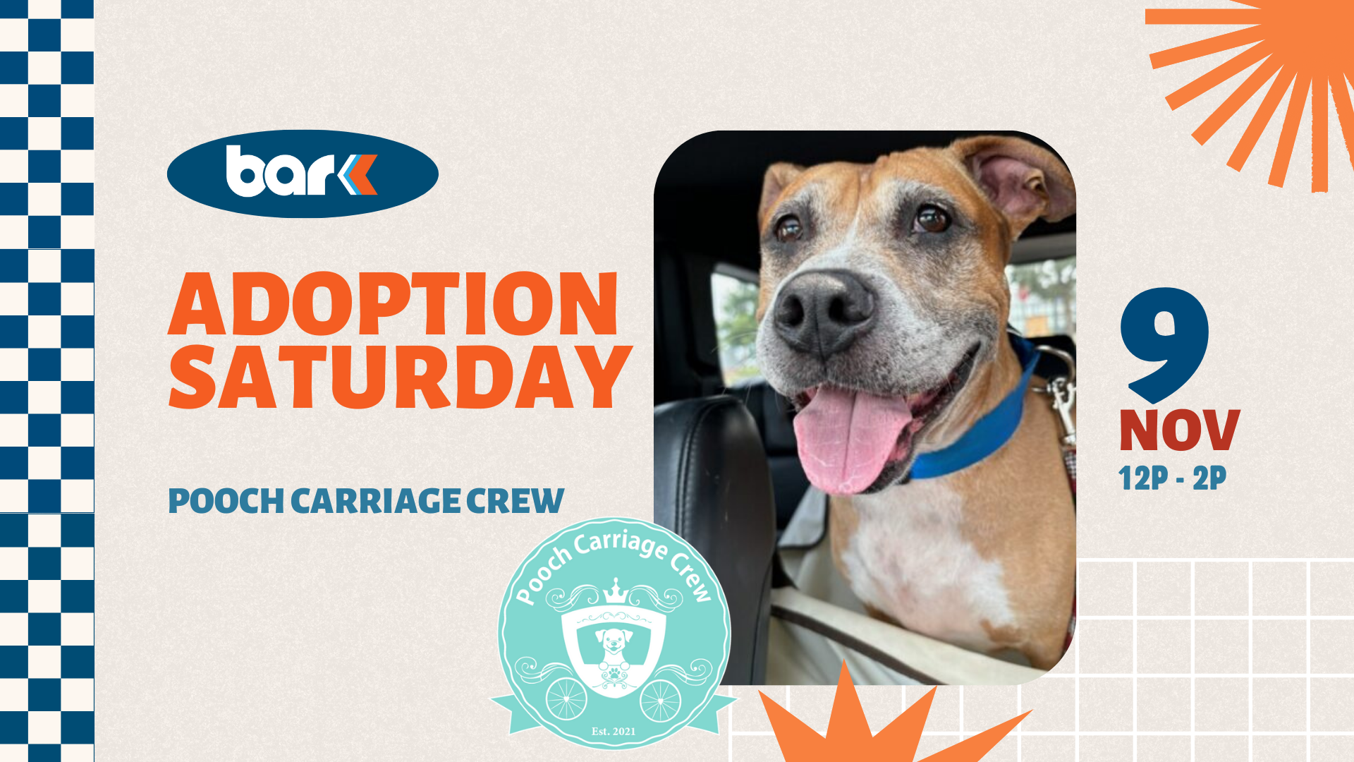 The image is an event poster featuring a light beige background with a checkered blue pattern on the left edge and orange sunburst designs in the corners. On the top left, there is a dark blue oval containing the word "bark" in lowercase white letters. Below, large orange text reads "ADOPTION SATURDAY" with smaller blue text underneath saying "POOCH CARRIAGE CREW." A square photo of a brown and white dog with a blue collar is positioned on the right side, showing the dog sitting in a car. To the right of the photo, bold numbers display "9" in blue and "NOV" in orange, with "12P - 2P" in smaller blue text beneath. At the bottom, there is a teal circular logo with "Pooch Carriage Crew" written around a dog silhouette inside a carriage and the text "Est. 2021."