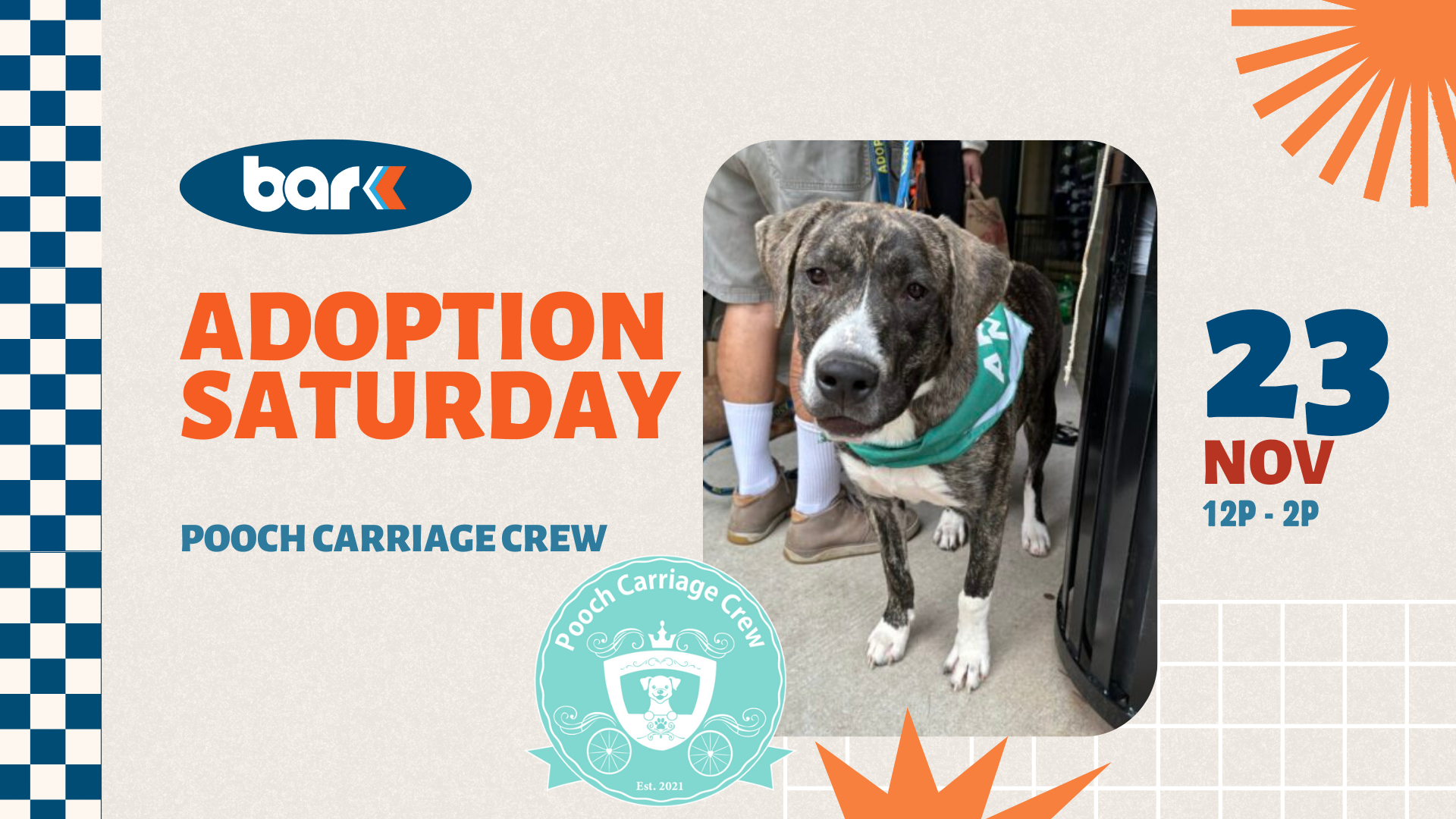 The image is a promotional graphic for an adoption event. On the left side, there is a logo in the top left corner on a blue and white checkered pattern background. Below the logo, in bold orange text, is the phrase "ADOPTION SATURDAY" and underneath it in blue capital letters, it says "POOCH CARRIAGE CREW." The bottom left corner features a circular teal emblem with the text "Pooch Carriage Crew" and "Est. 2021," surrounding an illustrated carriage with a dog inside. On the right side of the image is a photograph of a brindle dog with a white muzzle, standing, and wearing a teal bandana. In the upper right corner, the date "23 NOV" is written in large blue and red text. Below the date, it states "12P - 2P" in blue. The background is light gray with an orange sunburst design in the top corner and an abstract grid pattern at the bottom.