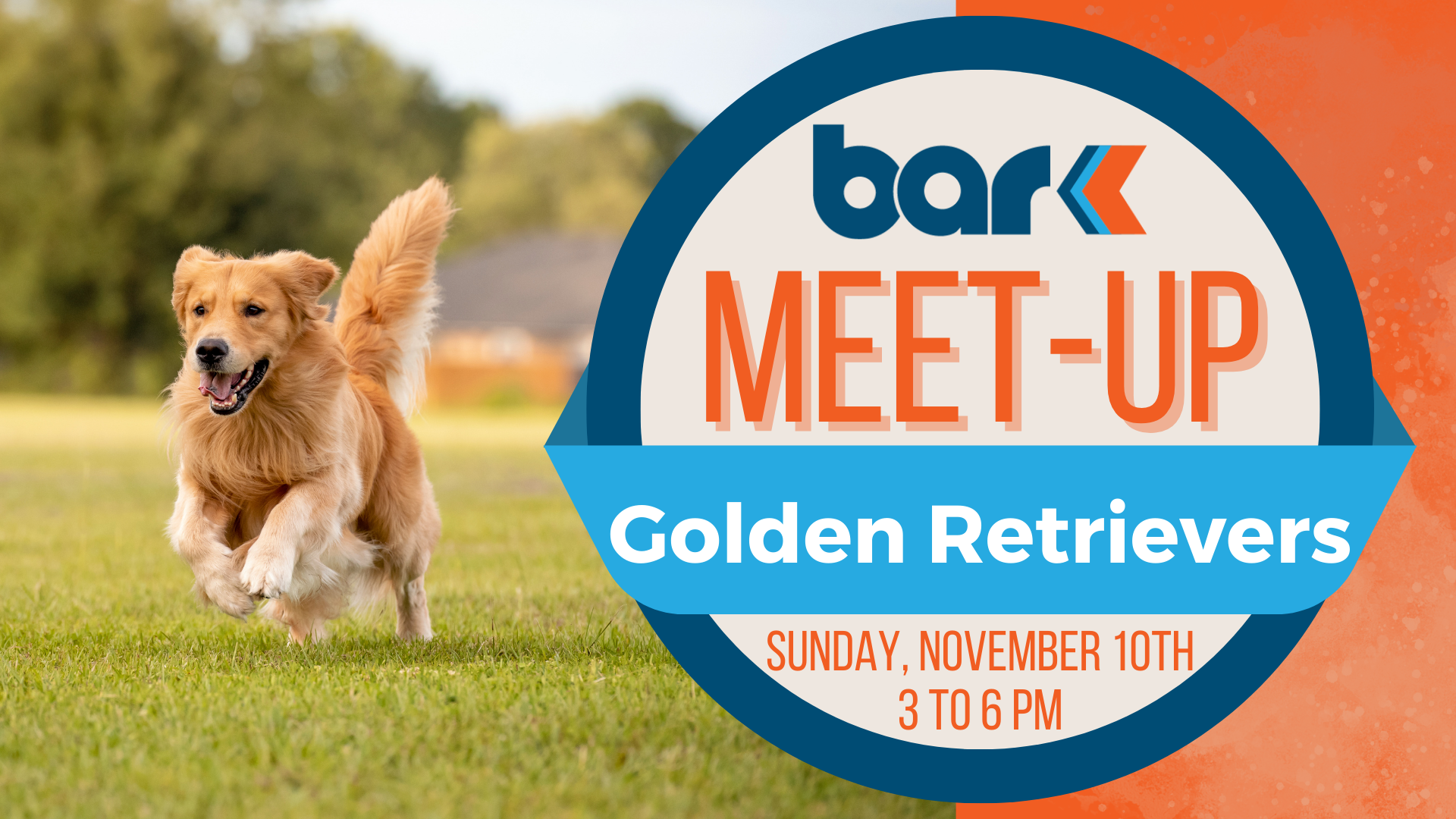 The image is a promotional graphic for a Golden Retrievers Meet-Up event. On the left side, there is a photo of a Golden Retriever running across a grass field. On the right side, the event details are displayed on an orange background with the Bar K logo at the top. Bold text reads "MEET-UP" with "Golden Retriever" below in a bright blue banner. The date and time are listed as "Sunday, November 10th, 3 to 6 PM." The design is vibrant and visually highlights the event's focus on Golden Retrievers.