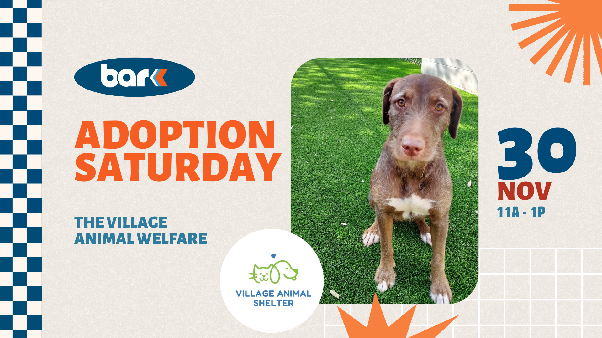 The image is a promotional banner for an adoption event. On the left, there is a dark blue, oval-shaped logo with the word "bark" inside it in white text. Below the logo, the text reads "ADOPTION SATURDAY" in large, bold orange letters. Smaller blue text underneath states, "THE VILLAGE ANIMAL WELFARE". In the center, there is a photo of a brown and white dog sitting on vibrant green grass. To the right, large blue and orange text shows "30 NOV" and "11A - 1P". A combination of blue and white squares decorates the left side, and an orange sunburst design is at the top right corner. At the bottom left, there is a white circle featuring a simple outline of a cat and dog, with the words "VILLAGE ANIMAL SHELTER".