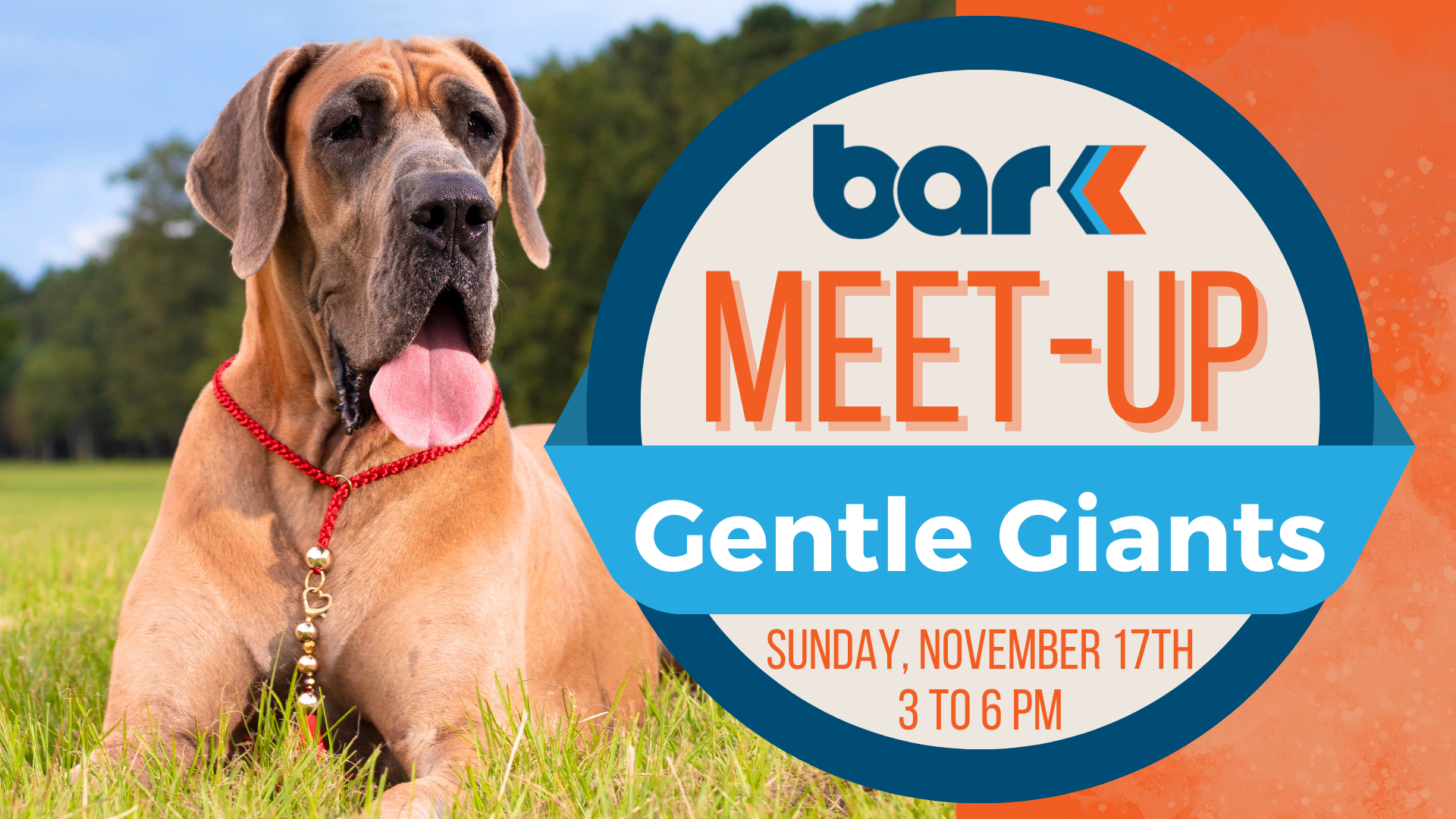 The image features a large brown dog, likely a Great Dane, lying on green grass with its tongue out. The dog is wearing a red beaded necklace. In the background, there's a dense forest and a cloudless blue sky. To the right, there is a circular design with text, prominently displaying information about a meet-up event. The circle has a thick dark blue border and contains an orange and blue theme within, with a gradient orange background.