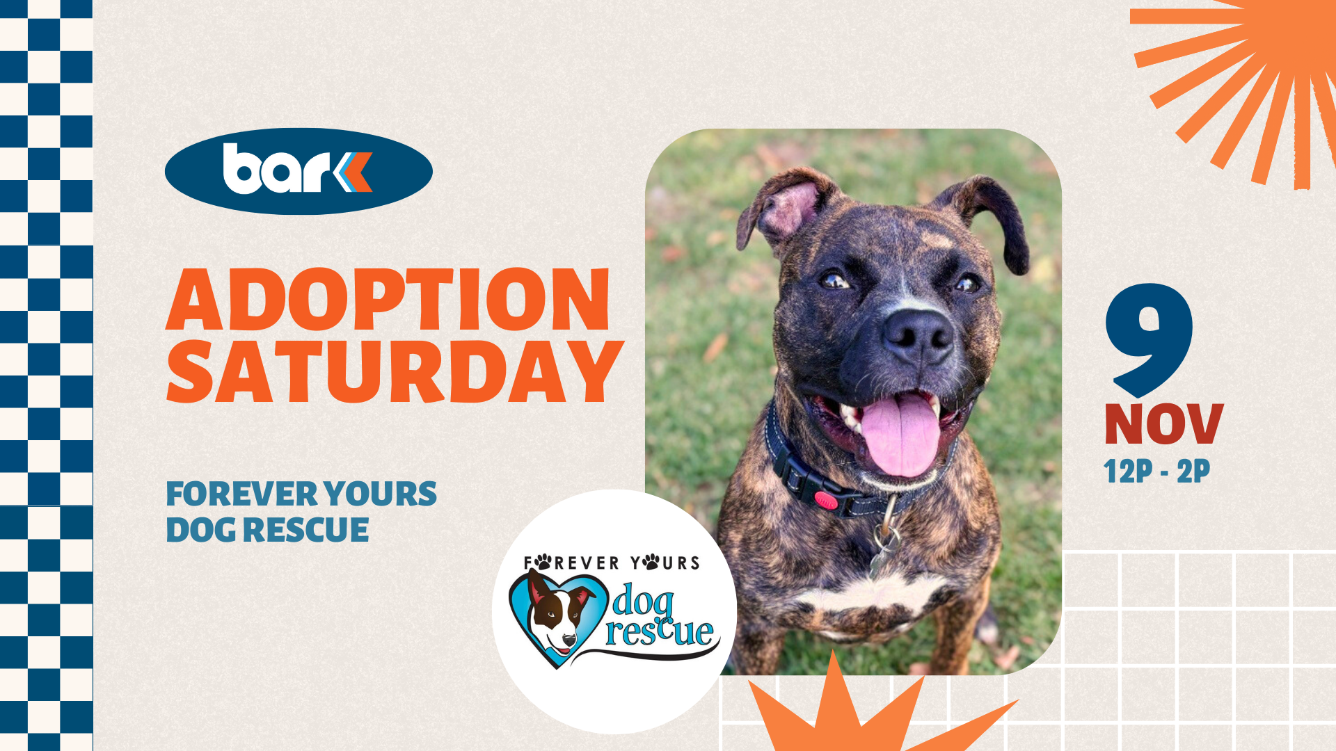 The image is a promotional poster for a dog adoption event. On the left, the word "bark" is inside a blue oval at the top. Below it, bold orange text reads "ADOPTION SATURDAY." Underneath, in blue, are the words "FOREVER YOURS DOG RESCUE." The center contains a photograph of a happy, brindle-coated dog with upright ears and a pink tongue, sitting on a grass background. To the left of the dog image is the Forever Yours Dog Rescue logo, featuring a dog's face within a heart shape. On the right side of the poster is a large blue number "9" with "NOV" in orange below it, and below "12P - 2P" in blue. The background is a light gray with a checkered blue pattern on the far left, and orange geometric shapes are scattered throughout for decoration.