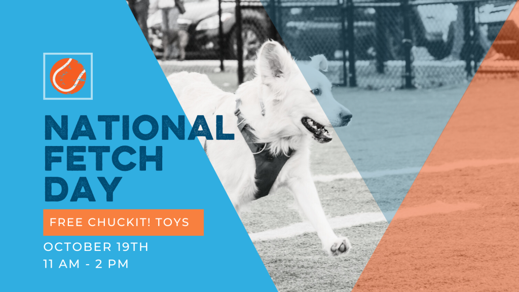 Promotional banner for National Fetch Day on October 19, 11 AM to 2 PM, featuring a white dog running with a Chuckit! toy at a dog park. Event offers free Chuckit! toys for participants.